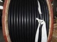 CEPJ95/NC Fire Resistant Marine Power & Lighting Cable 0/6/1KV(Armoured)