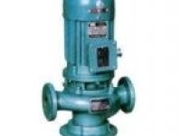 CGW Series Marine Sludge Discharge Pump