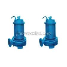 65CQL/W-10 Marine Vertical Submersible Electricity Pump thumbnail 1
