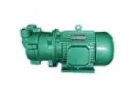 CSK-165 Marine Water Circulation Vacuum Pump 1