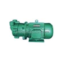 CSK-165 Marine Water Circulation Vacuum Pump thumbnail 1