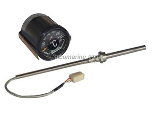 CW-1A Electronic Thermometer