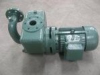 CWX Series Self-Priming Vortex Fresh Water and Sanitation Pump