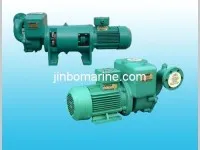 CWX Series Self-Priming Vortex Fresh Water and Sanitation Pump 1