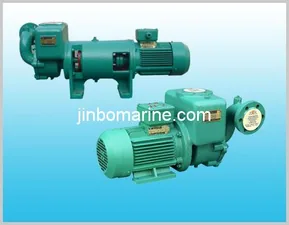 CWX Series Self-Priming Vortex Fresh Water and Sanitation Pump thumbnail 1