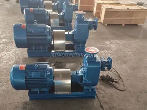 CWZ series horizontal centrifugal self-priming marine pumps thumbnail 3