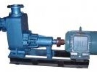 CWZ Series Marine Horizontal Self-priming Centrifugal Ballast And Fire Pump