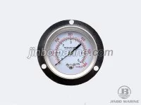 Capsule Pressure Gauge 2