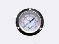 Capsule Pressure Gauge 1