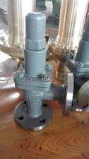 Marine Cast Steel Angle Safety Valve thumbnail 1