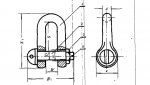 D Type Alloy Shackle CB3061