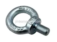 DIN 580 Eye Bolt 1