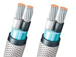 FA-DPYC Double Core Flame Retardant Marine Power & Light Cable 0.6/1KV