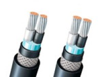FA-DPYCY Double Core Flame Retardant Marine Power & Light Cable 0.6/1KV