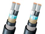 FA-DPYCYS Double Core Flame Retardant Marine Power & Light Cable 0.6/1KV