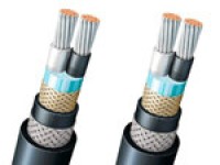 FA-DPYCYS Double Core Flame Retardant Marine Power & Light Cable 0.6/1KV