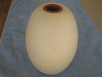DS2T Plastic Float