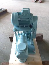 DZG Series Marine Electrical plunger pump