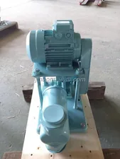 DZG Series Marine Electrical plunger pump thumbnail 1