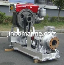 WRY Diesel Engine Driven Hot Oil Pump thumbnail 2