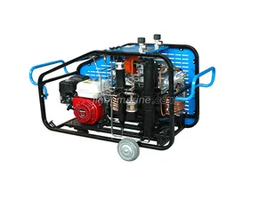 Diving Breathing High Pressure Air Compressor LYW300 thumbnail 1