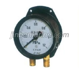 Double Needles And Double Tubes Pressure Gauge thumbnail 1