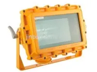 Explosion-proof Flood Light CFT3 2