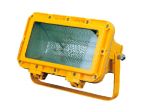 Explosion-proof Spot Light CFT2