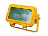Explosion-proof Spot Light CFT2