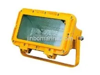 Explosion-proof Spot Light CFT2 1