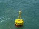 Fisheries Buoy, Special Marks