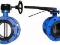 Double Flange Butterfly Valve