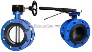 Double Flange Butterfly Valve