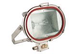 Flood Light TG11