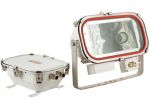 Flood Light TG5 TG6