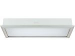 Fluorescent Ceiling Light JPY21-2N