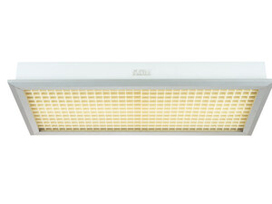 Fluorescent Ceiling Light JPY26-2