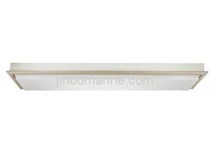 Fluorescent Ceiling Light JPY43-2 thumbnail 2