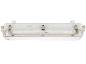 Fluorescent Pendant Light with Battery JCY201-1 thumbnail 2