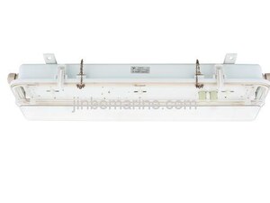 Fluorescent Pendant Light JCY25-2P