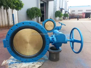 GB Marine Double Flanged Butterfly Valve with Worm Gear thumbnail 1