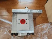 GPM500A Gear pump 2