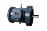 Marine Electric Motor