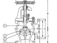 Marine Cast Iron Screw Down Check Angle Valve JIS F7376 10K 2