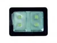 LED Flood Light
