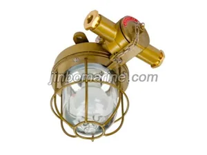 LED TdF220-10 Explosion Proof Light thumbnail 1
