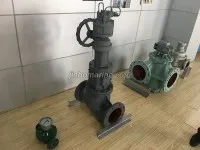 LXJ Model Fore Peak Tank Anticollision Valve 2