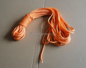 Lifebuoy Floating Line thumbnail 1