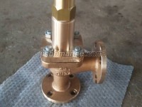 Marine Bronze Anlge Safety Valve