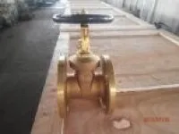 Marine Bronze Gate Valve Class 150 10K 1